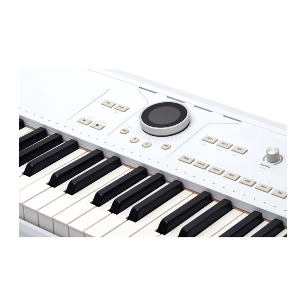 سینتی سایزر آرتوریا Arturia AstroLab 61 White