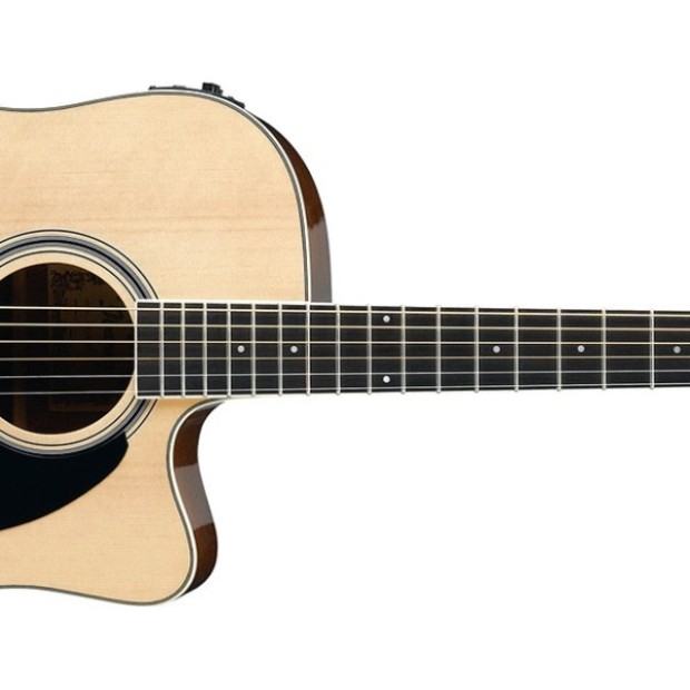 گیتار آکوستیک آیبانز Ibanez PF15ECE-NT
