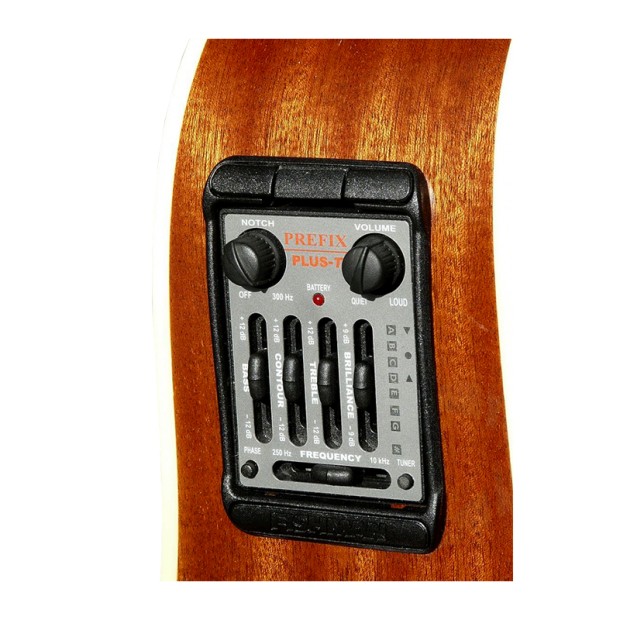 گیتار آکوستیک کورت Cort MR730FX