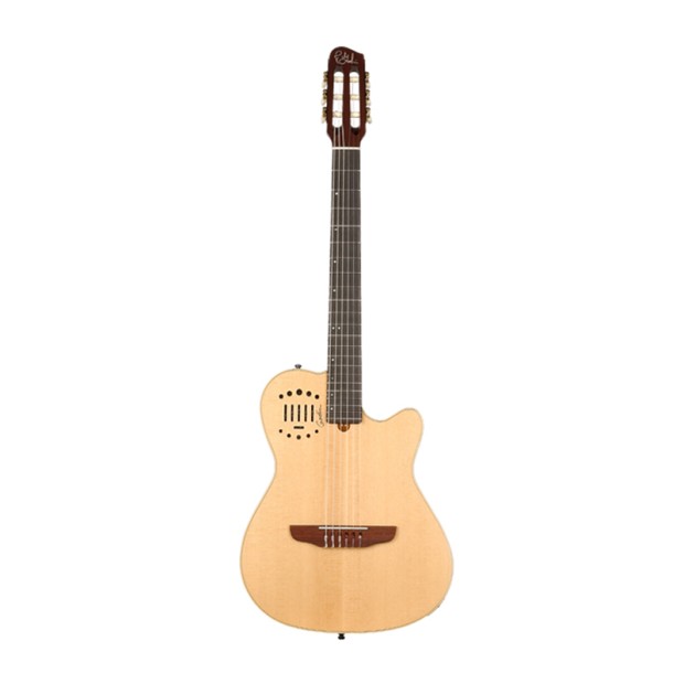 گیتار آکوستیک گودین Godin Multiac Nylon Duet Ambiance HG