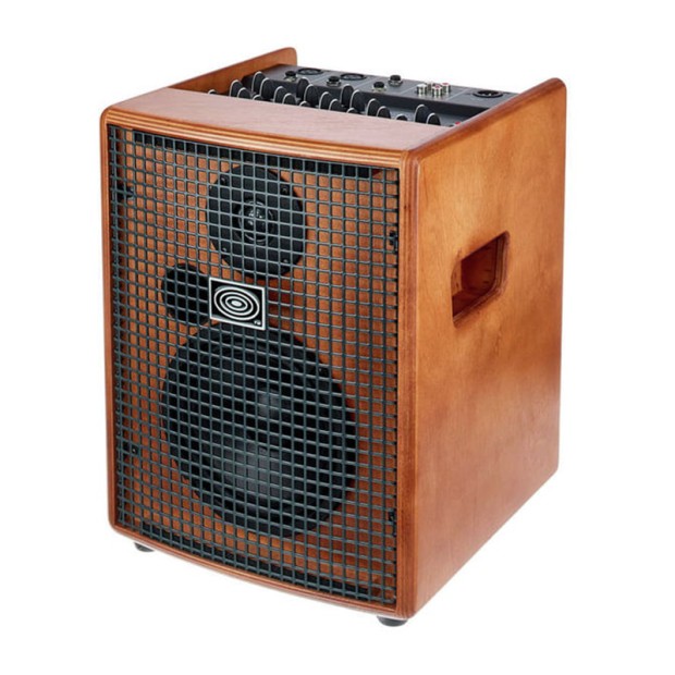 آمپلی فایر گیتار شرتلر Schertler JAM 100 Wood