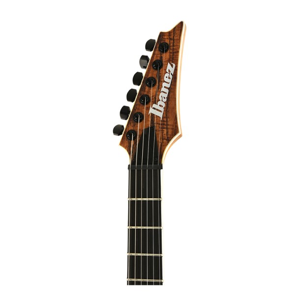 گیتار الکتریک آیبانز Ibanez RGAIX6U-ABS
