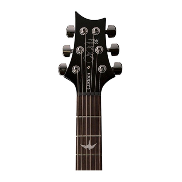 گیتار الکتریک پی آر اس PRS SE Custom 24 Whale Blue