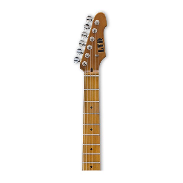 گیتار الکتریک ال تی دی LTD TE-254 Distressed 3-Tone Burst