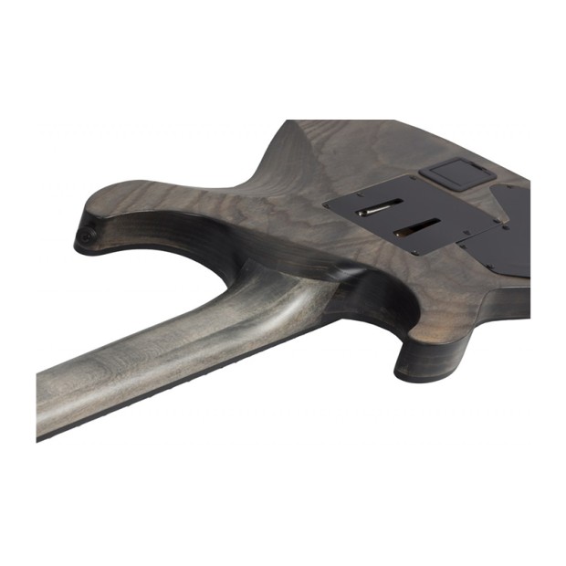 گیتار الکتریک شکتر Schecter C-1 FR S Apocalypse SKU #1302