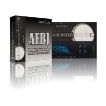 قیمت خرید فروش وی اس تی Ample Sound Ample Sound Ample Ethno Banjo V1.0 AEBJ