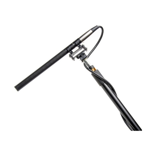 میکروفن شات گان آزدن Azden SGM-3416L + SWS-200