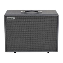 قیمت خرید فروش کابینت بلک استار Blackstar Silverline - 2x12 cabinet