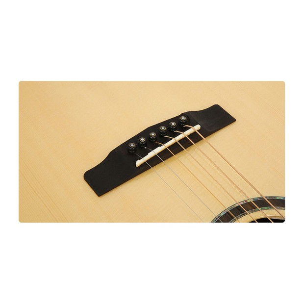 گیتار آکوستیک کورت Cort CJ10X