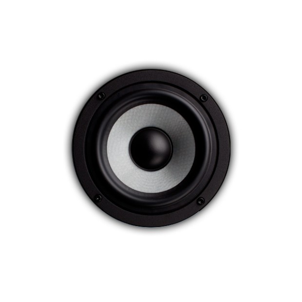 اسپیکر مانیتورینگ EVE EVE SC205
