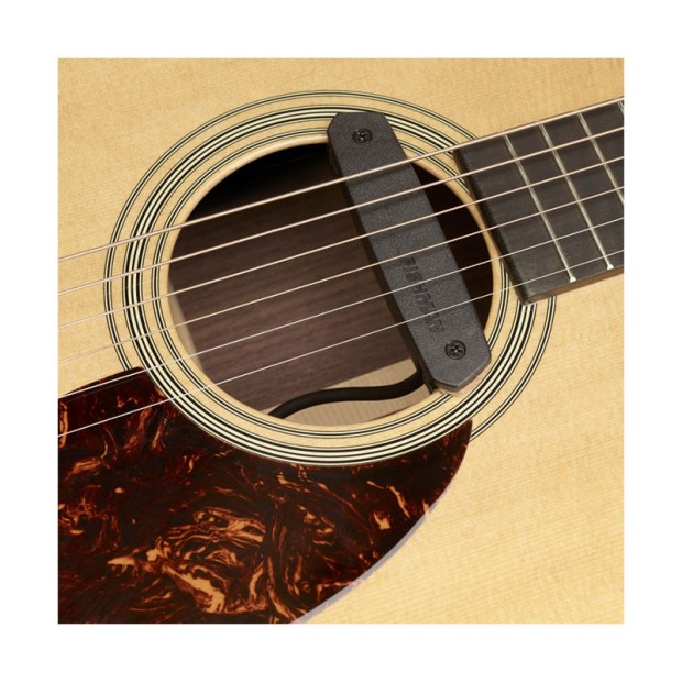 پیکاپ فیشمن Fishman Pro-Neo-D01