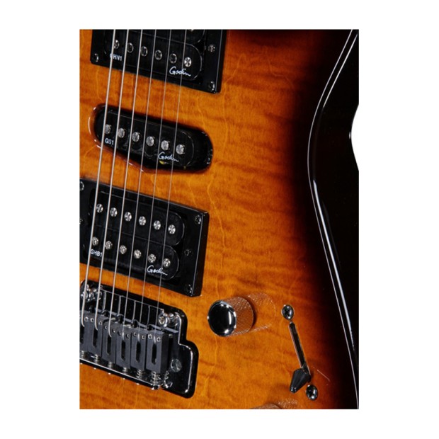 گیتار الکتریک گودین Godin Freeway SA Lightburst Flame