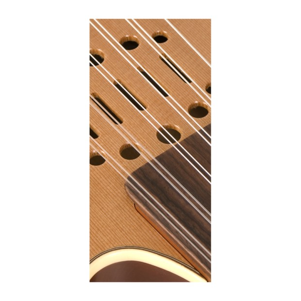 عود گودین Godin MultiOud Encore Nylon