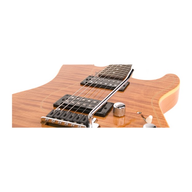 گیتار الکتریک گودین Godin Passion RG2