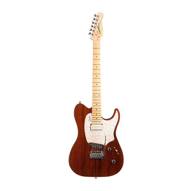 گیتار الکتریک گودین Godin Session Custom Classic LTD HG MN