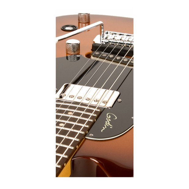 گیتار الکتریک گودین Godin Session Custom TriplePlay Lightburst RN