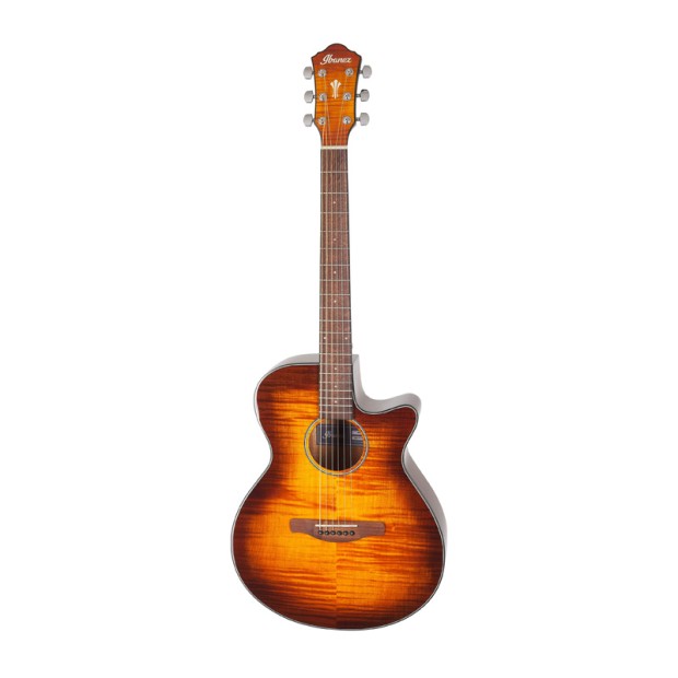 گیتار آکوستیک آیبانز Ibanez AEG70 VVH