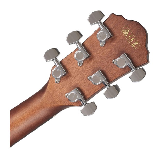 گیتار آکوستیک آیبانز Ibanez AEG70 VVH