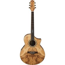 قیمت خرید فروش گیتار آکوستیک آیبانز IBANEZ EW35ABE NT