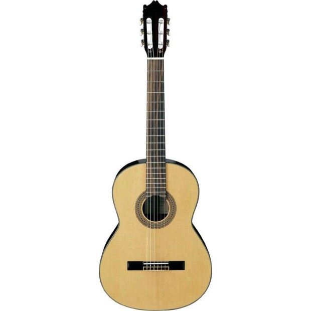 گیتار کلاسیک آیبانز IBANEZ G100 NT