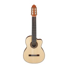 قیمت خرید فروش گیتار کلاسیک آیبانز IBANEZ G208CWC-NT
