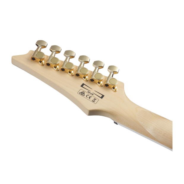 گیتار الکتریک آیبانز Ibanez GRG220PA RLB