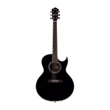 قیمت خرید فروش گیتار آکوستیک آیبانز IBANEZ JSA10 BK With Hard Case