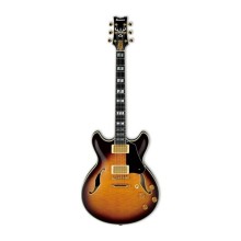 قیمت خرید فروش گیتار الکتریک آیبانز Ibanez JSM100 VT