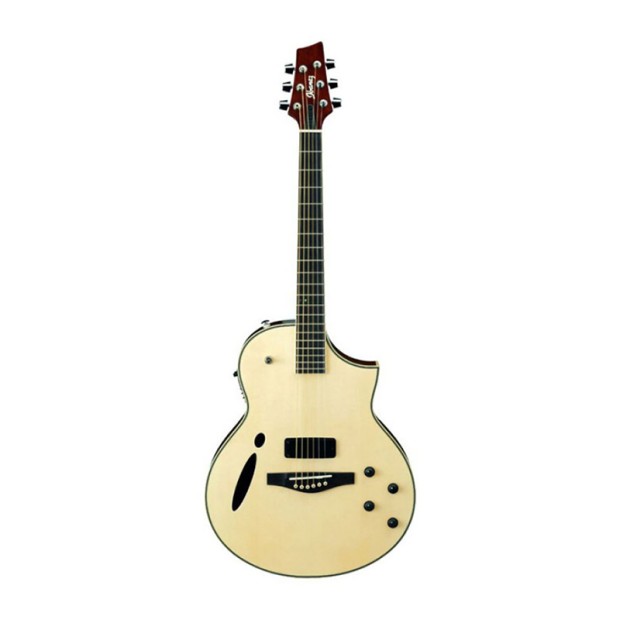 گیتار آکوستیک آیبانز IBANEZ MSC 380-NT