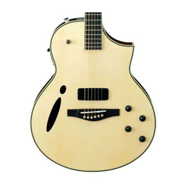گیتار آکوستیک آیبانز IBANEZ MSC 380-NT