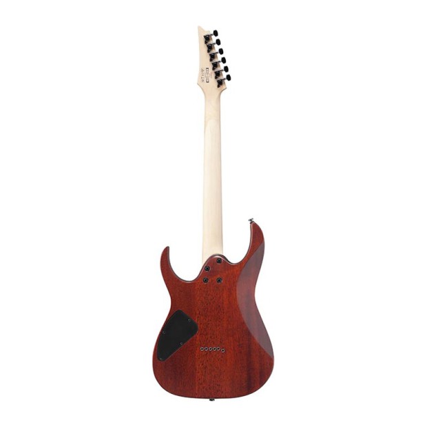 گیتار الکتریک آیبانز Ibanez RG421S SEM