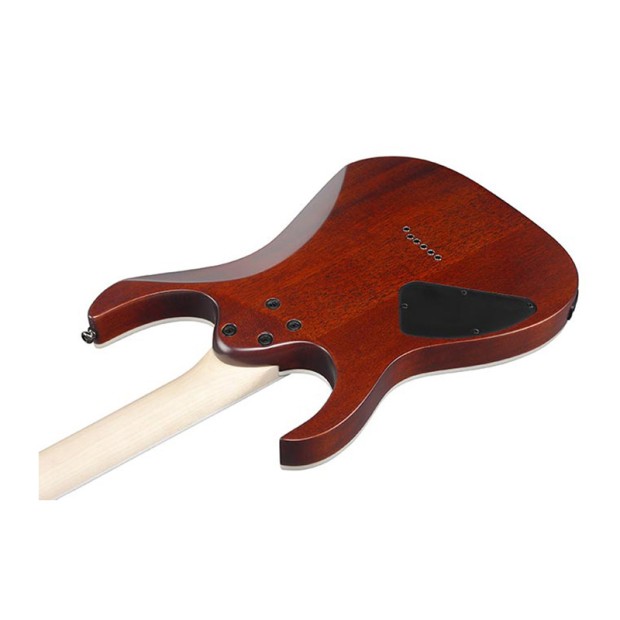 گیتار الکتریک آیبانز Ibanez RG421S SEM