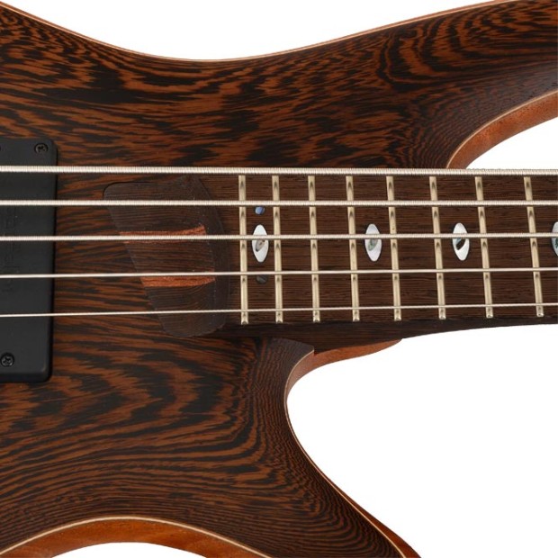 گیتار بیس آیبانز IBANEZ SR5005E