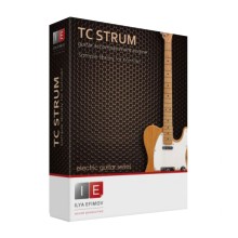 قیمت خرید فروش وی اس تی پلاگین Ilya Efimov Production Ilya Efimov Production TC Strum