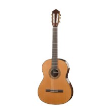 قیمت خرید فروش گیتار کلاسیک هافنر Hofner HM 80