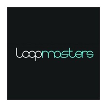 قیمت خرید فروش وی اس تی پلاگین لوپ مسترز Loopmasters Sample Pack