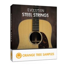 قیمت خرید فروش وی اس تی پلاگین Orange Tree Samples Orange Tree Samples Evolution Steel Strings