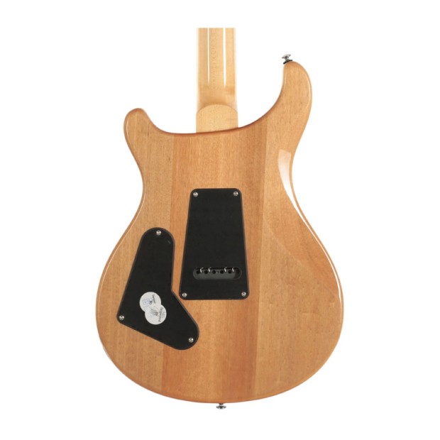 گیتار الکتریک پی آر اس PRS SE Custom 24 Bonnie Pink