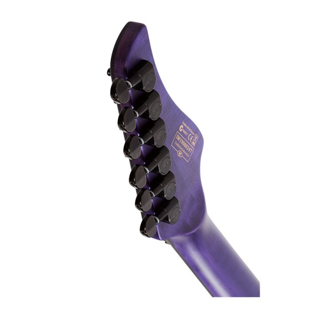 گیتار الکتریک شکتر Schecter Banshee GT-6 FR Satin Trans Purple STP SKU #1521
