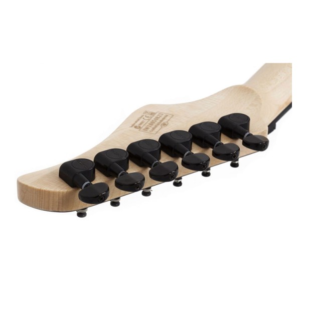 گیتار الکتریک شکتر Schecter C 6 FR Pro Aurora Burst