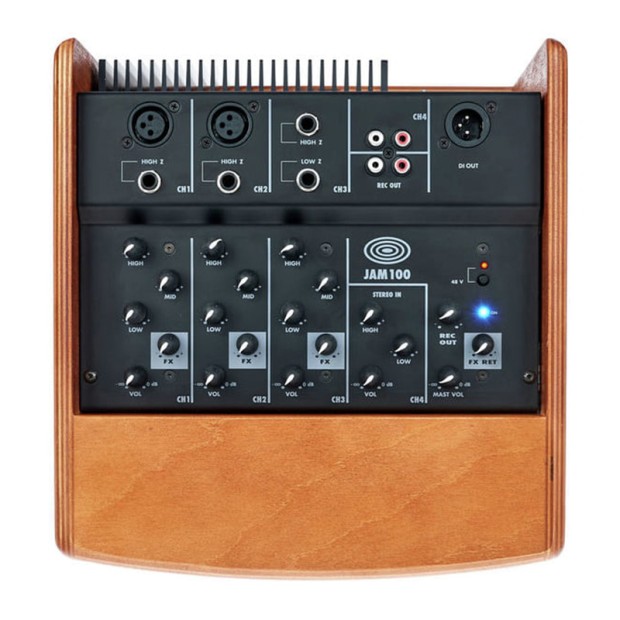 آمپلی فایر گیتار شرتلر Schertler JAM 100 Wood