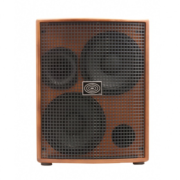 آمپلی فایر گیتار شرتلر Schertler Jam 400 Wood