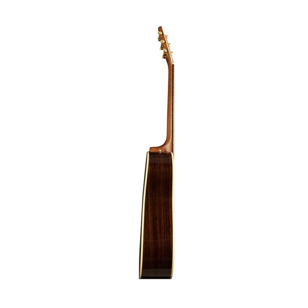 گیتار آکوستیک سیگال Seagull Artist Peppino Signature CW Element