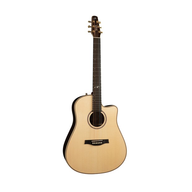 گیتار آکوستیک سیگال Seagull Artist Studio CW Element
