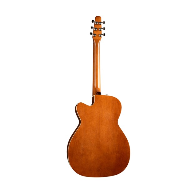 گیتار آکوستیک سیگال Seagull Entourage Rustic CW Concert Hall QIT