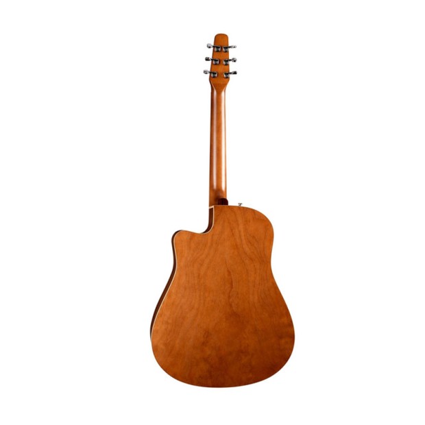 گیتار آکوستیک سیگال Seagull Entourage Rustic CW QI