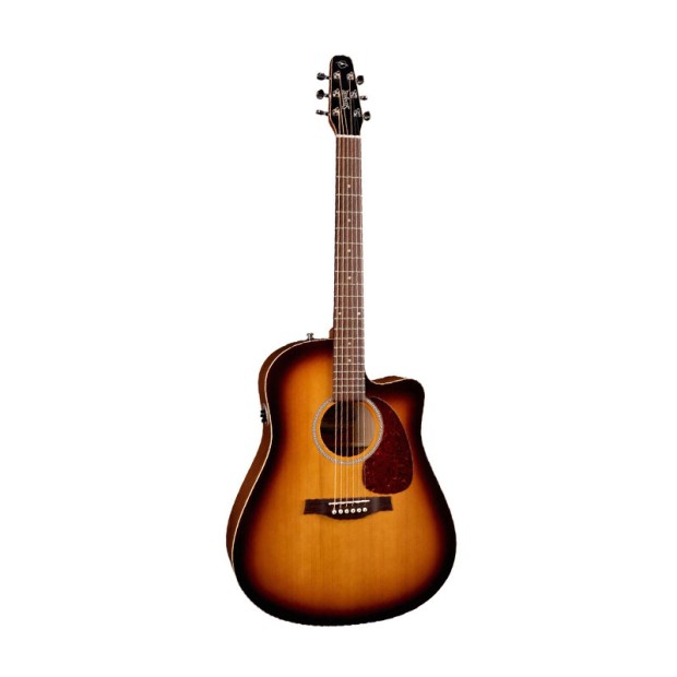 گیتار آکوستیک سیگال Seagull Entourage Rustic CW QIT