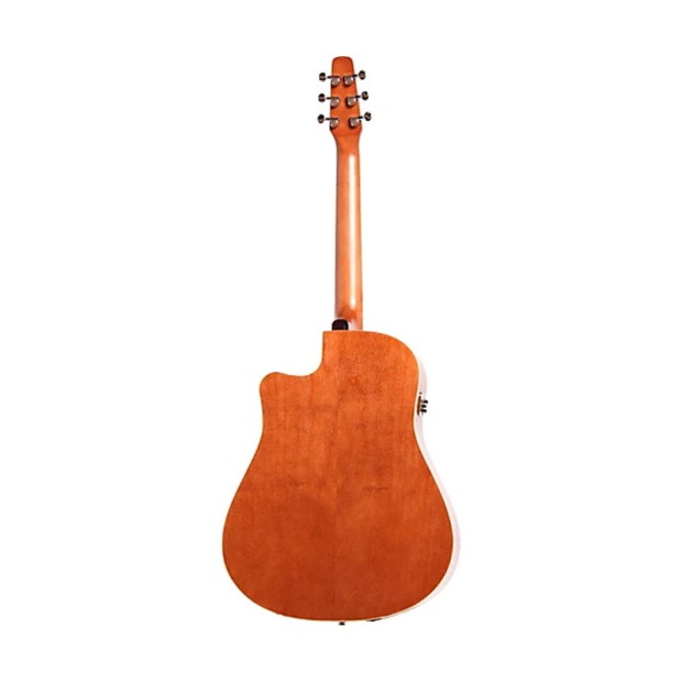 گیتار آکوستیک سیگال Seagull Entourage Rustic CW QIT