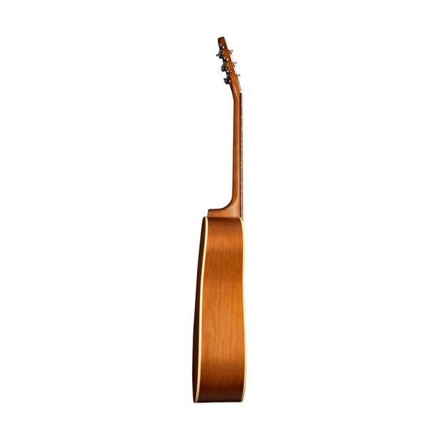 گیتار آکوستیک سیگال Seagull Entourage Rustic