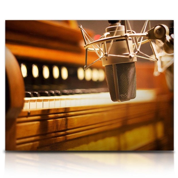 وی اس تی پلاگین Soundiron Soundiron Traveler Organ